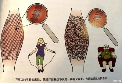 【为啥买】麦瑞克NEX筋膜枪.